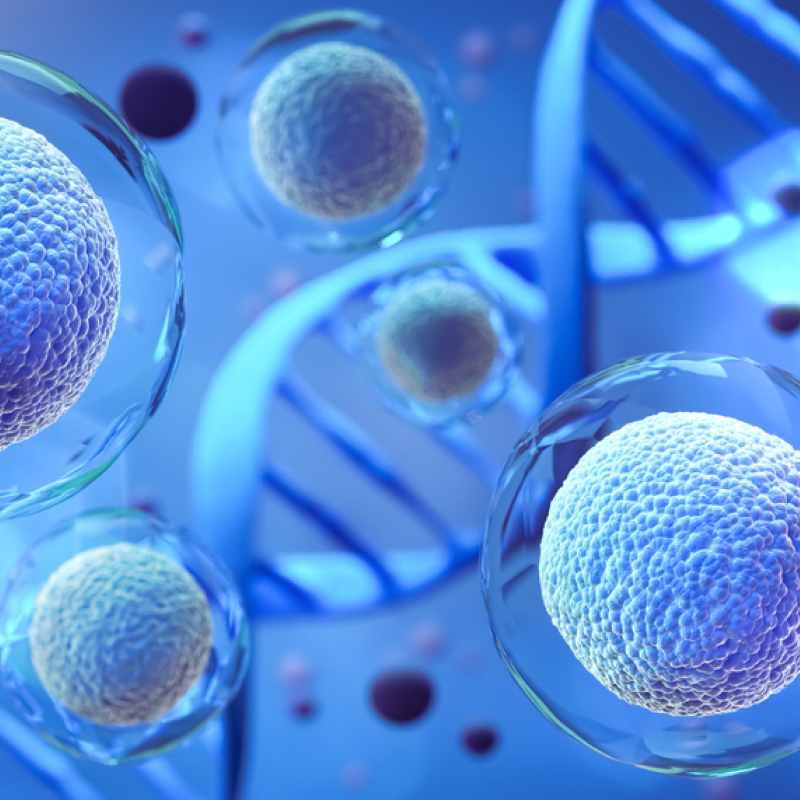 January Event | Stem Cell 2 Kits 1 Session (IV)